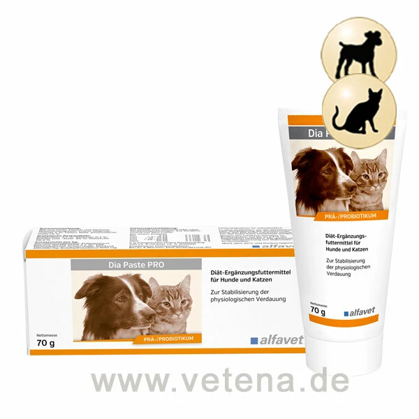 Dia Paste PRO Hund & Katze 3 Dia Paste PRO Hund & Katze