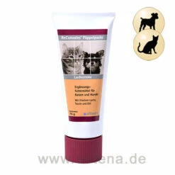 ReConvales Päppelpaste Hund & Katze