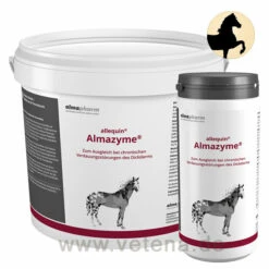 Allequin Almazyme Pferd