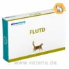 Astorin FLUTD Katze -Vetena Verkäufe almapharm astorin flutd katze