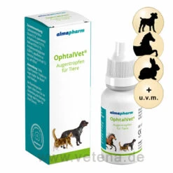 OphtalVet Augentropfen