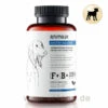 Animaux Gastro Balance 1 Animaux Gastro Balance -Vetena Verkäufe animaux gastro balance hunde