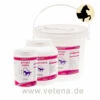 Canina Equolyt Arthro Forte 2 Canina Equolyt Arthro Forte -Vetena Verkäufe canina equolyt arthro forte pferd