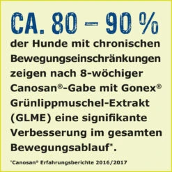 Boehringer Ingelheim Canosan Für Hunde -Vetena Verkäufe canosan hund boehringer ingelheim4