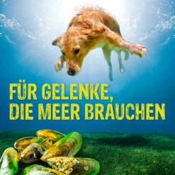 Boehringer Ingelheim Canosan Für Hunde -Vetena Verkäufe canosan hund boehringer ingelheim6