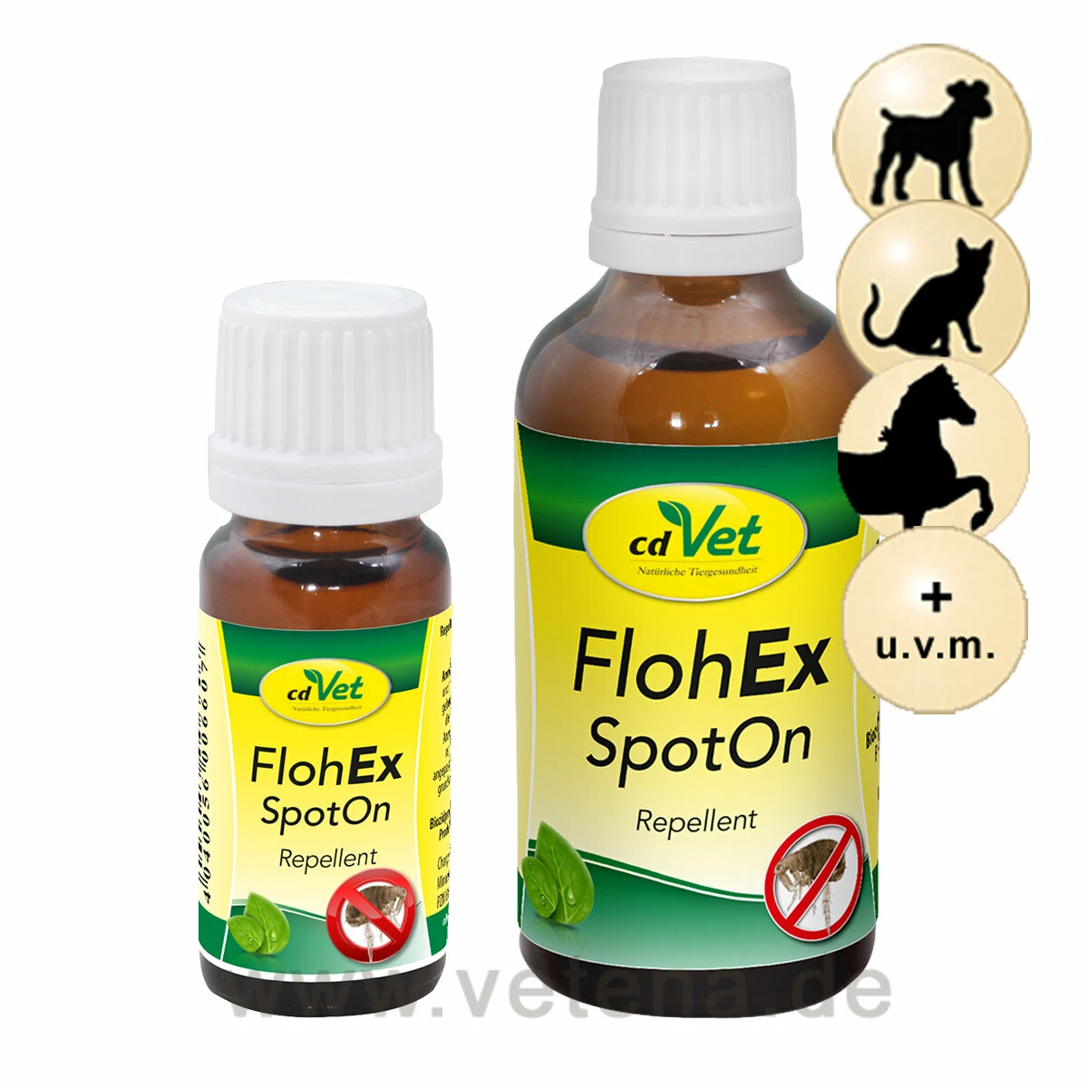 CdVet InsektoVet FlohEx SpotOn Für Heimtiere 3 CdVet InsektoVet FlohEx SpotOn Für Heimtiere