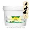 CdVet InsektoVet Kieselgur Liquid Powder -Vetena Verkäufe cdvet insektovet kieselgur liquid powder