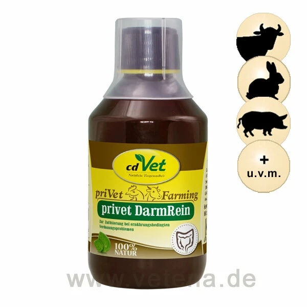 CdVet Privet DarmRein 3 CdVet Privet DarmRein