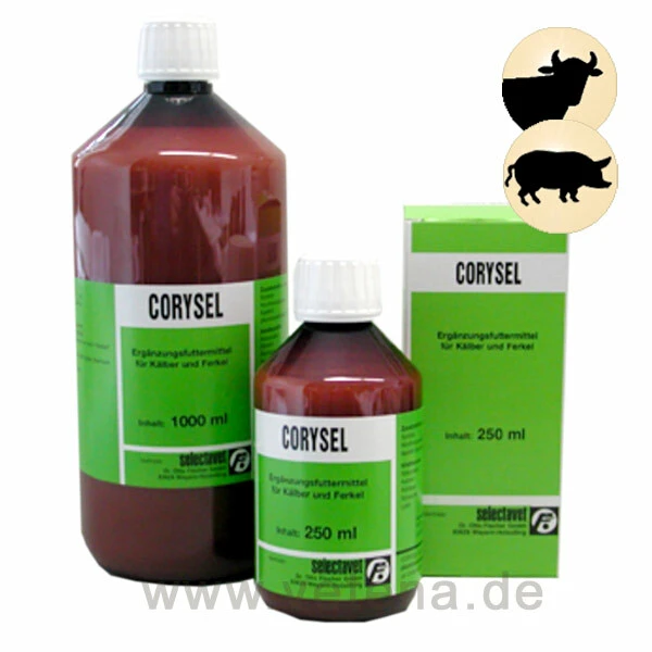 Corysel 3 Corysel