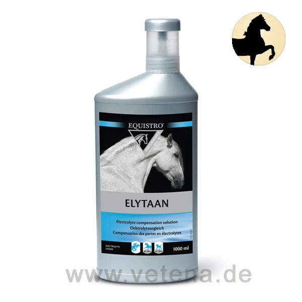 Equistro Elytaan Pferd 3 Equistro Elytaan Pferd
