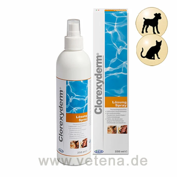 Clorexyderm Lösung 3 Clorexyderm Lösung