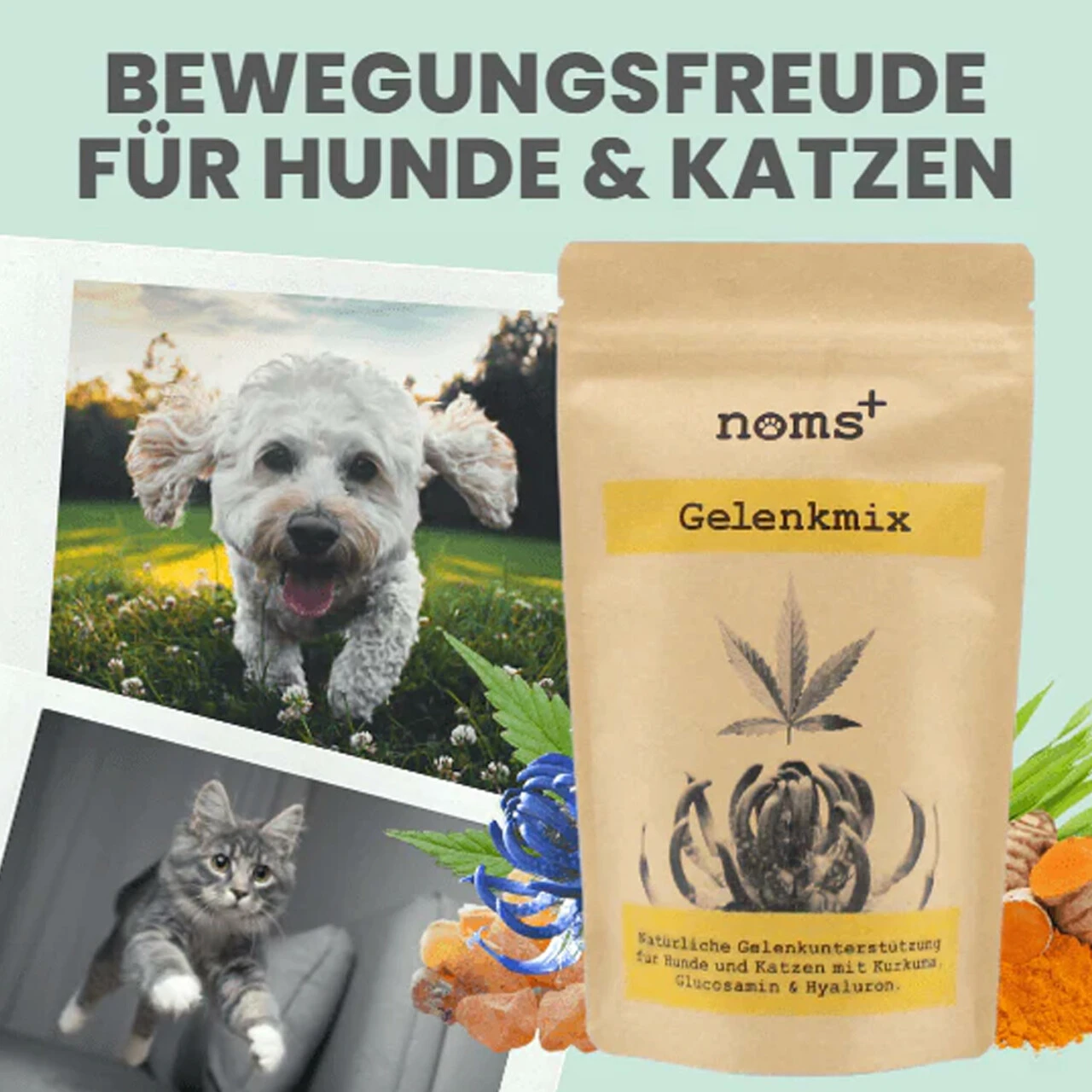 Noms+ Gelenkmix Für Hunde & Katzen 5 Noms+ Gelenkmix Für Hunde & Katzen – Bild 3