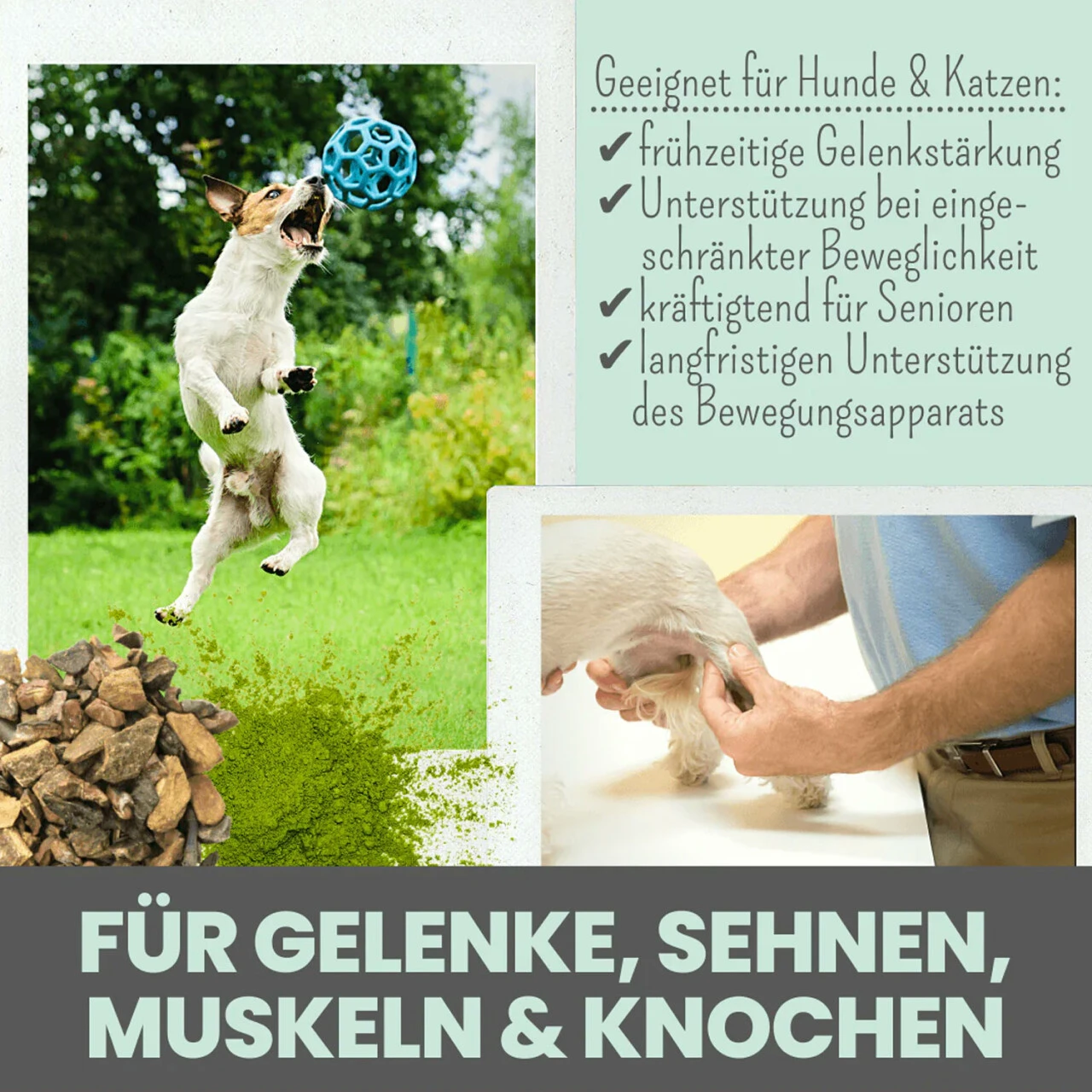 Noms+ Gelenkmix Für Hunde & Katzen 6 Noms+ Gelenkmix Für Hunde & Katzen – Bild 4