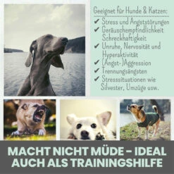 Noms+ Wohlfühltabs Für Hunde & Katzen 17 Noms+ Wohlfühltabs Für Hunde & Katzen -Vetena Verkäufe nomsplus wohlfuehltabs hund katze6