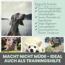 Noms+ Wohlfühlsnacks Für Hunde 15 Noms+ Wohlfühlsnacks Für Hunde -Vetena Verkäufe nomsplus wohlfuehltabs hund katze 15