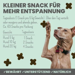 Noms+ Wohlfühlsnacks Für Hunde 16 Noms+ Wohlfühlsnacks Für Hunde -Vetena Verkäufe nomsplus wohlfuehltabs hund katze 16