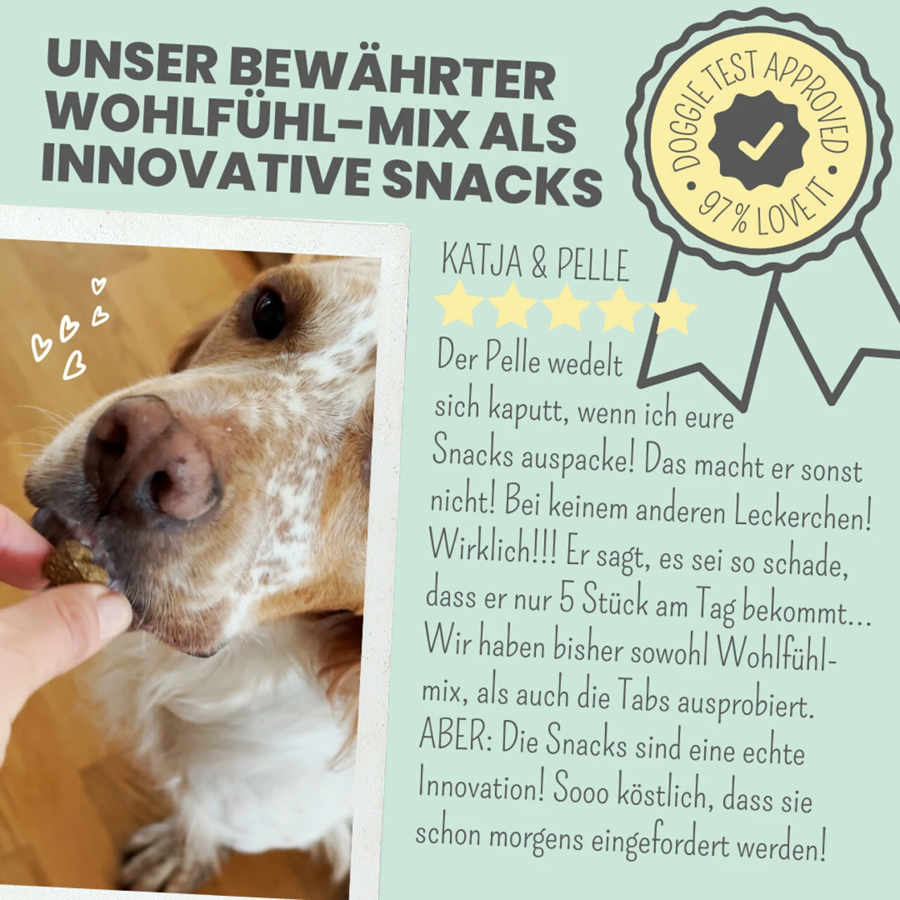 Noms+ Wohlfühlsnacks Für Hunde 9 Noms+ Wohlfühlsnacks Für Hunde – Bild 7