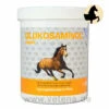 NutriLabs Glukosaminol Equin 1 NutriLabs Glukosaminol Equin -Vetena Verkäufe nutrilabs glukosaminol equin pferd