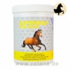 NutriLabs Supersulf MSM Equin 1 NutriLabs Supersulf MSM Equin -Vetena Verkäufe nutrilabs supersulf msm equin pferd