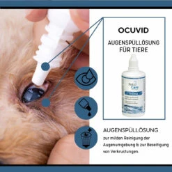 ReboCare Ocuvid Augenspüllösung -Vetena Verkäufe rebocare ocuvid augenspuelloesung tiere3