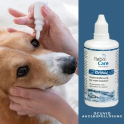 ReboCare Ocuvid Augenspüllösung -Vetena Verkäufe rebocare ocuvid augenspuelloesung tiere4