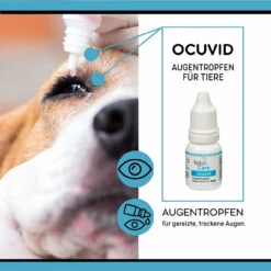 ReboCare Ocuvid Augentropfen Für Tiere 8 ReboCare Ocuvid Augentropfen Für Tiere -Vetena Verkäufe rebocare ocuvid augentropfen tiere3