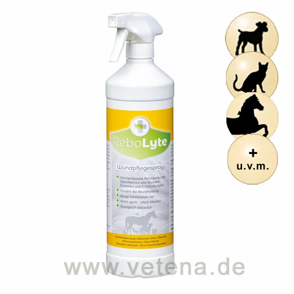 ReboLyte ECA Wundpflegespray 3 ReboLyte ECA Wundpflegespray