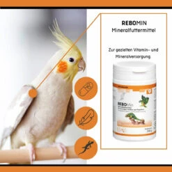 ReboVet REBOMin Für Vögel & Reptilien 10 ReboVet REBOMin Für Vögel & Reptilien -Vetena Verkäufe rebopharm rebomin kleintier3