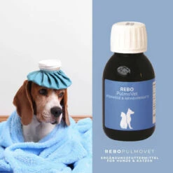 REBOPulmoVet Für Hunde & Katzen -Vetena Verkäufe rebopulmovet hund katze4