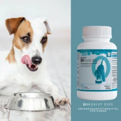 ReboTabs DiAssist Dog Für Hunde -Vetena Verkäufe rebotabs diassist dog4