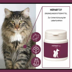 ReboTabs HEPARTop Für Hunde -Vetena Verkäufe rebotabs hepartop4