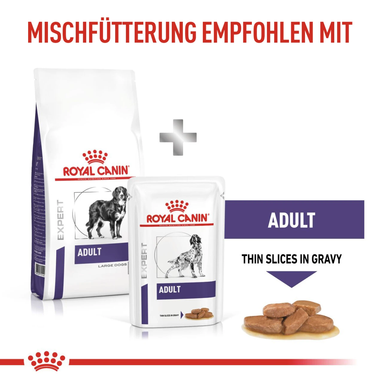 Royal Canin Expert Adult Large Dogs Trockenfutter Für Hunde 10 Royal Canin Expert Adult Large Dogs Trockenfutter Für Hunde – Bild 8
