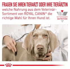 Royal Canin Anallergenic Small Dogs Trockenfutter Für Hunde -Vetena Verkäufe royal canin anallergenic small dogs trockenfutter hund7