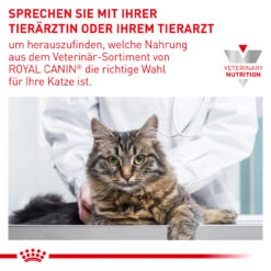 Royal Canin Expert Dental Trockenfutter Für Katzen -Vetena Verkäufe royal canin dental katze9