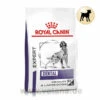 Royal Canin Expert Dental Medium & Large Dogs Trockenfutter Für Hunde 1 Royal Canin Expert Dental Medium & Large Dogs Trockenfutter Für Hunde -Vetena Verkäufe royal canin dental medim large dogs