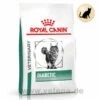 Royal Canin Diabetic Trockenfutter Für Katzen 2 Royal Canin Diabetic Trockenfutter Für Katzen -Vetena Verkäufe royal canin diabetic trocken katze