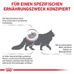 Royal Canin Early Renal Trockenfutter Für Katzen 14 Royal Canin Early Renal Trockenfutter Für Katzen -Vetena Verkäufe royal canin early renal trocken katze5