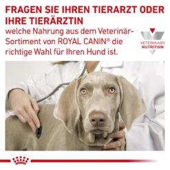 Royal Canin Gastrointestinal High Fibre Trockenfutter Für Hunde -Vetena Verkäufe royal canin gastro intestinal high fibre hund9