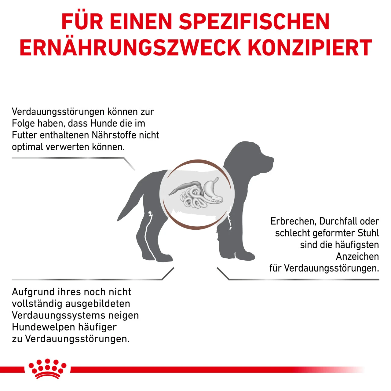 Royal Canin Gastrointestinal Puppy Trockenfutter Für Hunde 7 Royal Canin Gastrointestinal Puppy Trockenfutter Für Hunde – Bild 5