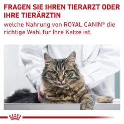 Royal Canin Gastrointestinal Fibre Response Trockenfutter Für Katzen -Vetena Verkäufe royal canin gastrointestinal fibre response katze10