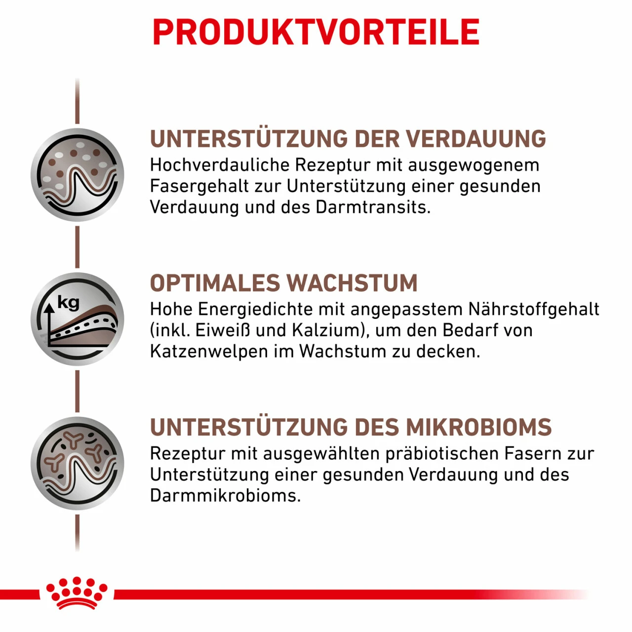 Royal Canin Gastrointestinal Kitten Nassfutter Für Katzen 5 Royal Canin Gastrointestinal Kitten Nassfutter Für Katzen – Bild 3