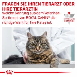 Royal Canin Gastrointestinal Moderate Calorie Trockenfutter Für Katzen -Vetena Verkäufe royal canin gastrointestinal moderate calorie trocken katze10