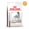 Royal Canin Hepatic Trockenfutter Für Hunde 1 Royal Canin Hepatic Trockenfutter Für Hunde -Vetena Verkäufe royal canin hepatic trocken hund