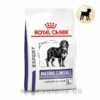 Royal Canin Expert Mature Consult Large Dogs Trockenfutter Für Hunde -Vetena Verkäufe royal canin mature consult large dogs hund
