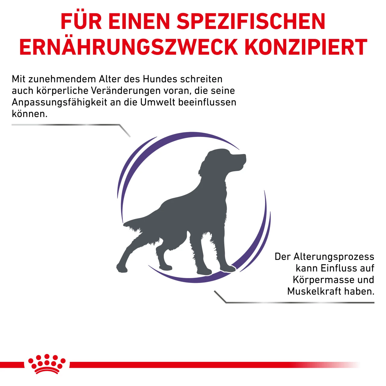 Royal Canin Expert Mature Consult Medium Dogs Trockenfutter Für Hunde 5 Royal Canin Expert Mature Consult Medium Dogs Trockenfutter Für Hunde – Bild 3