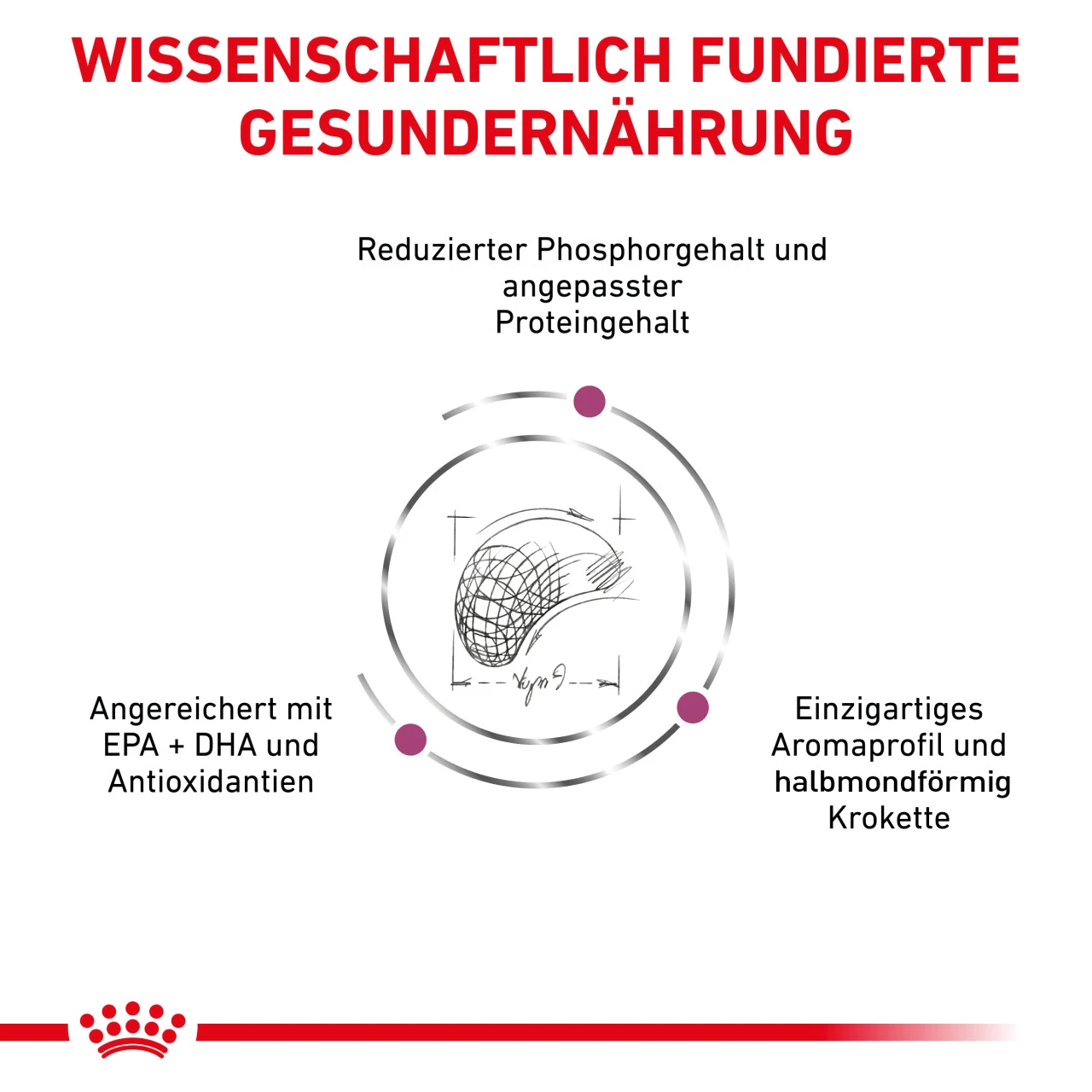 Royal Canin Renal Select Trockenfutter Hund 8 Royal Canin Renal Select Trockenfutter Hund – Bild 6