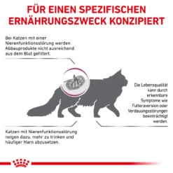 Royal Canin Renal Special Trockenfutter Für Katzen -Vetena Verkäufe royal canin renal special katze5