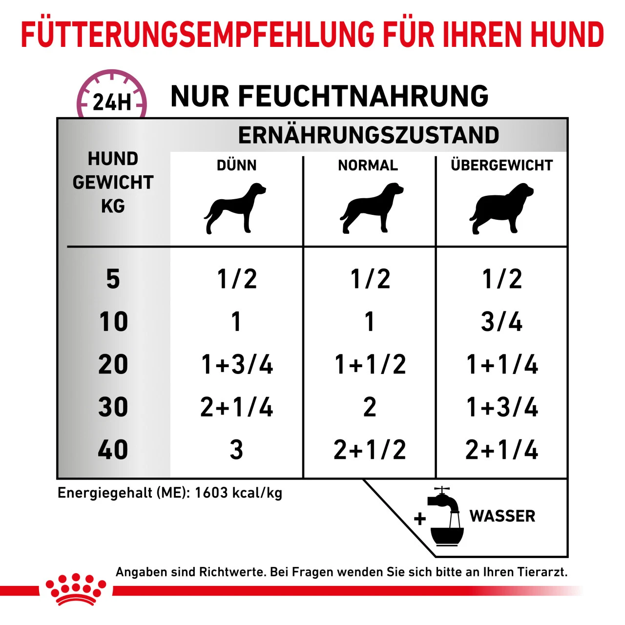Royal Canin Renal Special Nassfutter Hunde 5 Royal Canin Renal Special Nassfutter Hunde – Bild 3