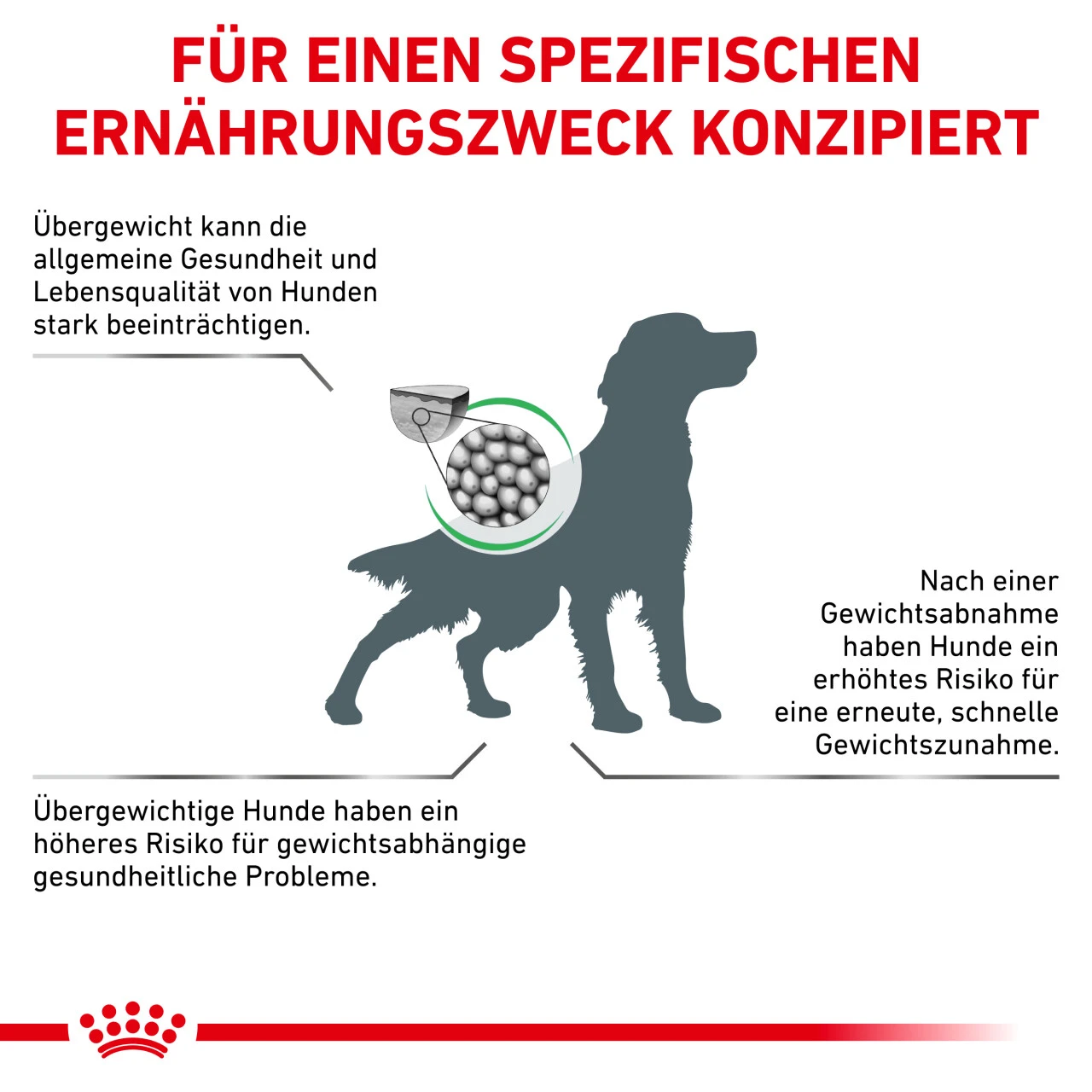 Royal Canin Satiety Weight Management Trockenfutter Für Hunde 6 Royal Canin Satiety Weight Management Trockenfutter Für Hunde – Bild 4