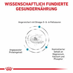 Royal Canin Skin & Coat Trockenfutter Für Katzen 12 Royal Canin Skin & Coat Trockenfutter Für Katzen -Vetena Verkäufe royal canin skin coat trocken katze3